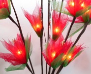 Red open flower bud fairy light close up_sml.jpg